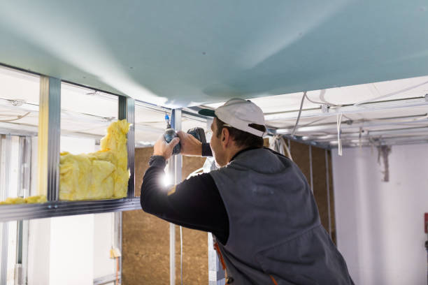 Best Garage Insulation Installation  in Plum Grove, TX